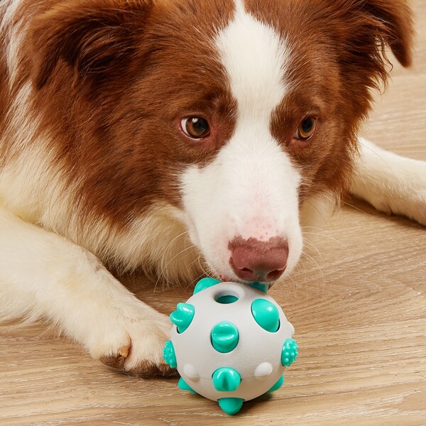

1pc Pet Chew Toy Ball, Blue