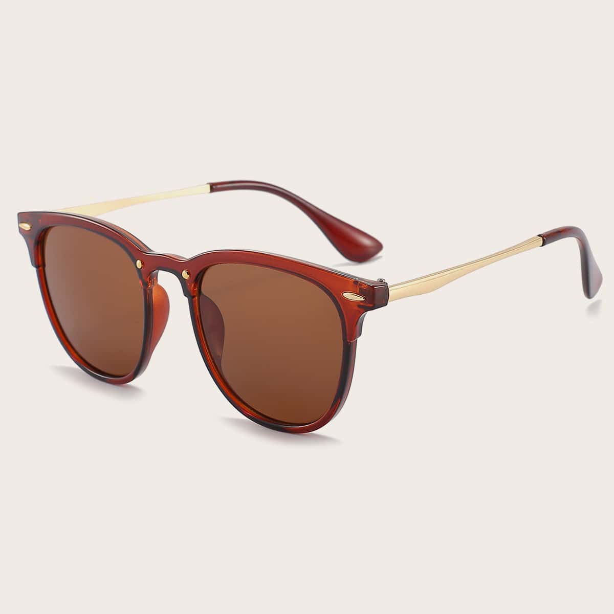 

Tinted Lens Sunglasses