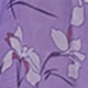 紫丁香色