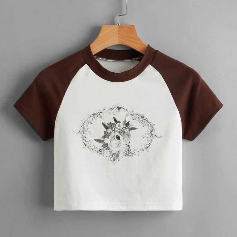

Rabbit Graphic Colorblock Tee, Multicolor