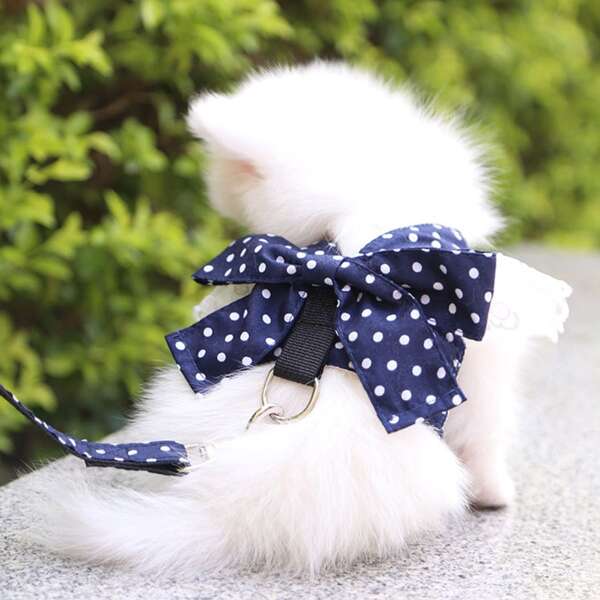 

1pc Polka Dot Pattern Pet Harness & 1pc Leash, Navy blue