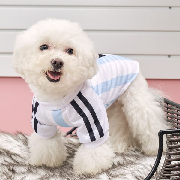 

Striped Pattern Pet Tee, Blue and white