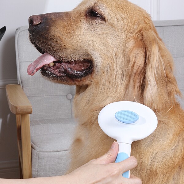 

1pc Pet Hair Removal Needle Comb, Blue