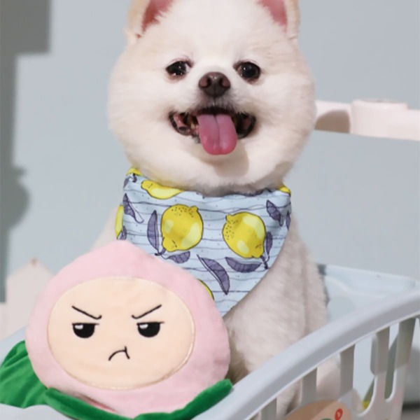 

1pc Peach Design Reversible Pet Sound Plush Toy, Multicolor
