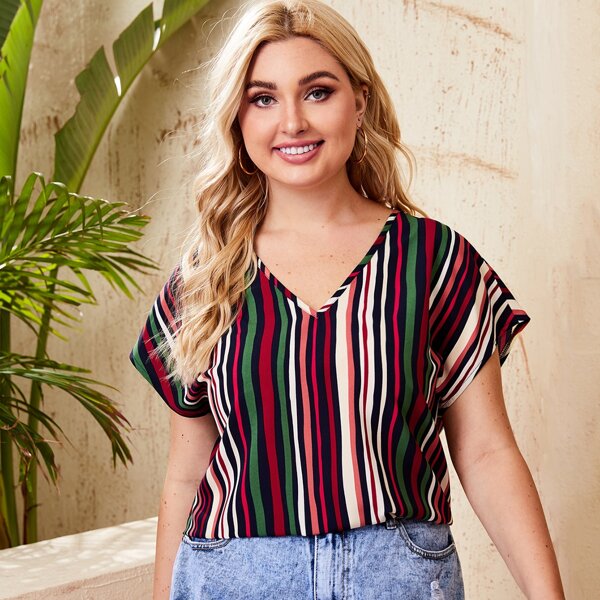 

Plus Striped V Neck Blouse, Multicolor