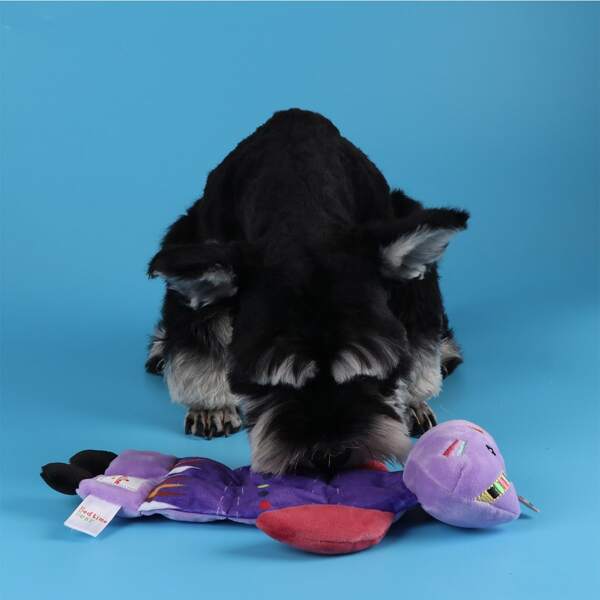 

Cartoon Plush Pet Sound Toy, Multicolor
