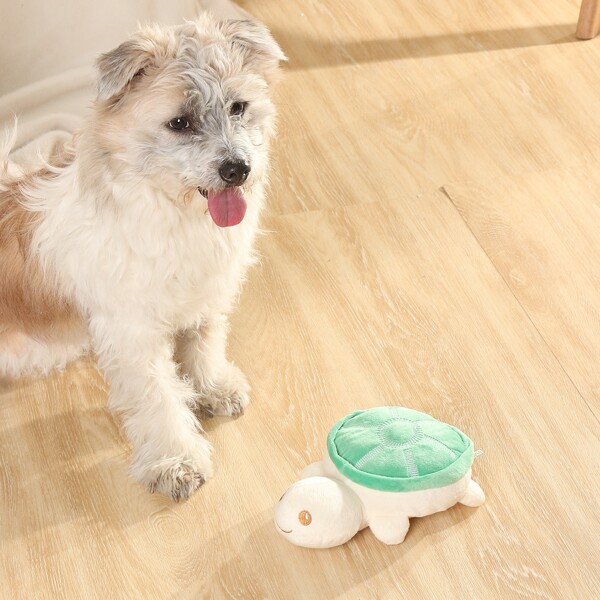 

1pc Tortoise Shaped Pet Plush Toy, Multicolor