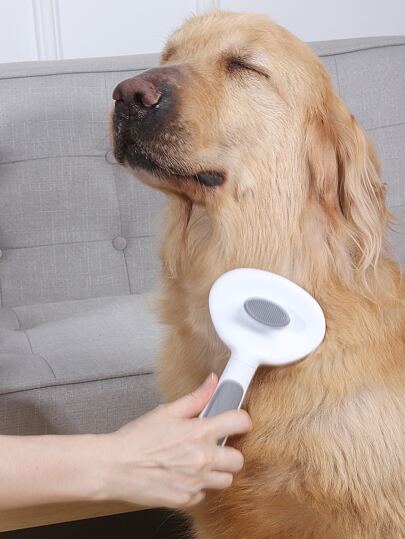 مشط مزيل شعر حيوان اليف 1 قطعة