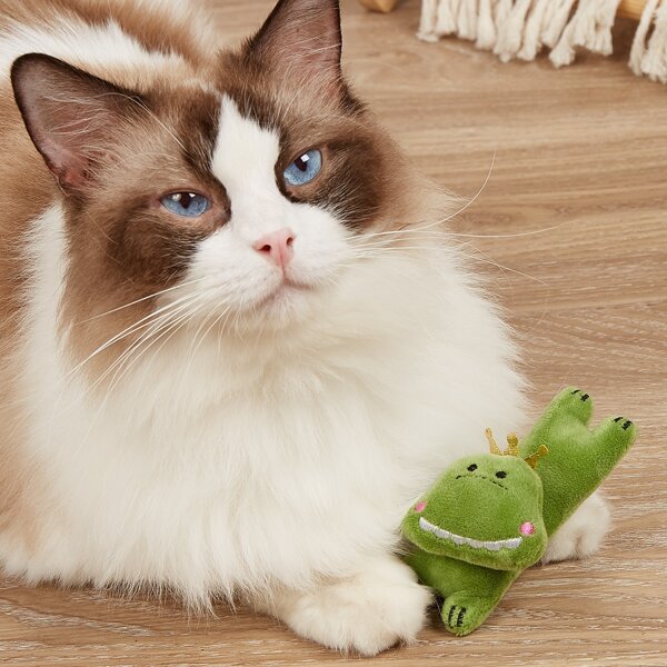 

1pc Frog Shaped Pet Plush Toy, Green