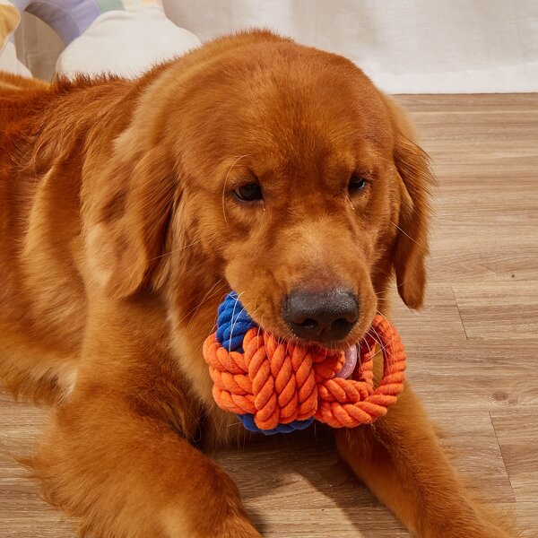 

Rope Ball Pet Chew Toy, Orange