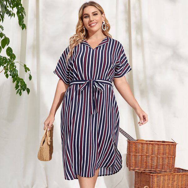 

Plus Vertical Striped Belted Dress, Multicolor