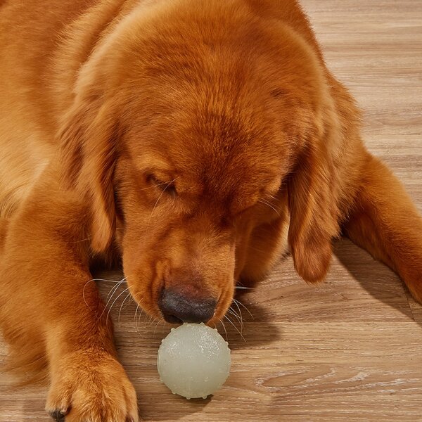 

1pc Pet Chew Toy Ball, Clear