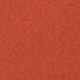 Burnt Orange