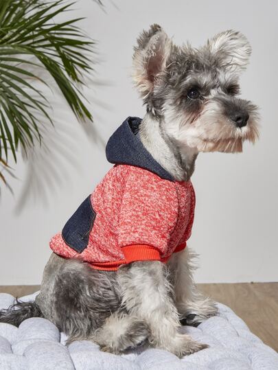 Felpa con cappuccio per animali domestici color block