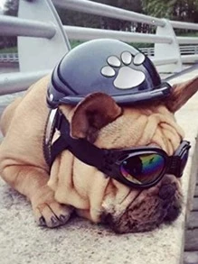 2张3D立体狗爪印车贴，PVC材质，凸起设计，适用于后窗或保险杠，自粘式，亮面，银色轮廓，非常适合农用车辆或汽车装饰，车贴，防刮擦，汽车配件 - 銀色 - 查看 5