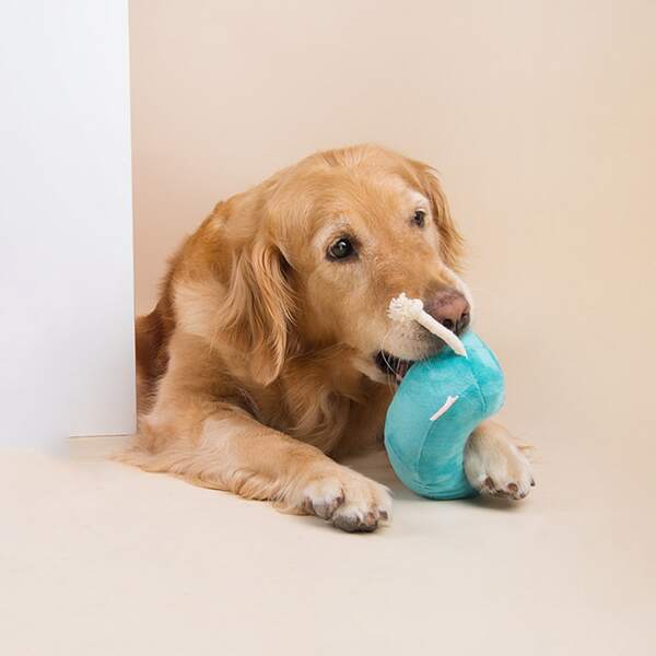 

Phone Shaped Pet Chew Toy, Blue