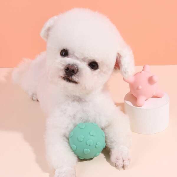 

2pcs Ball Shaped Pet Sound Toy, Multicolor