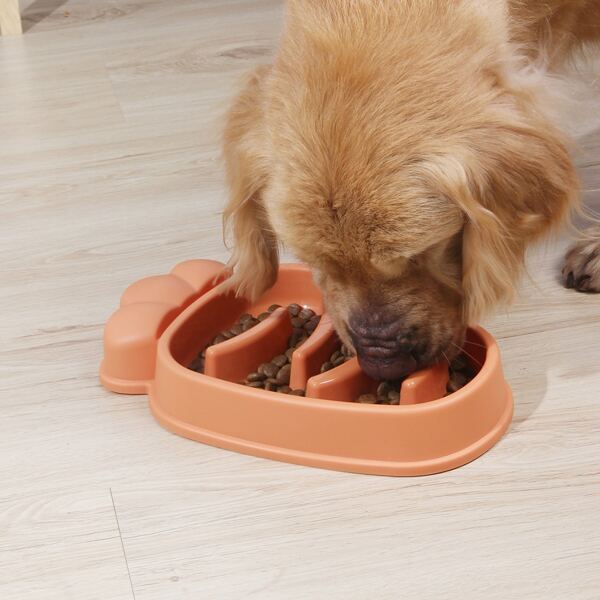 

Carrot Shaped Slow Feeder Pet Bowl, Orange