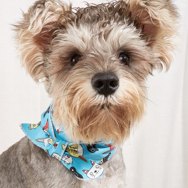 

Cartoon Graphic Pet Scarf, Blue