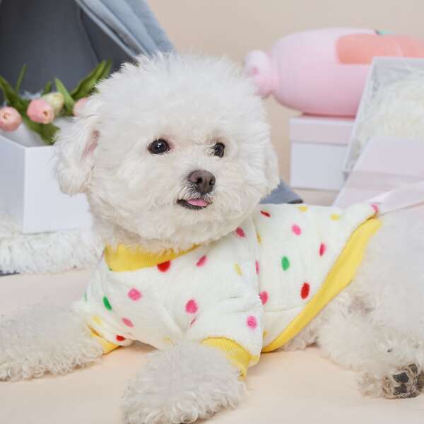 

Cartoon Patch Pet Sweatshirt, Multicolor