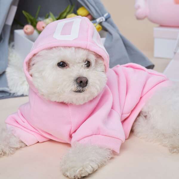 

Letter Graphic Pet Hoodies, Pink