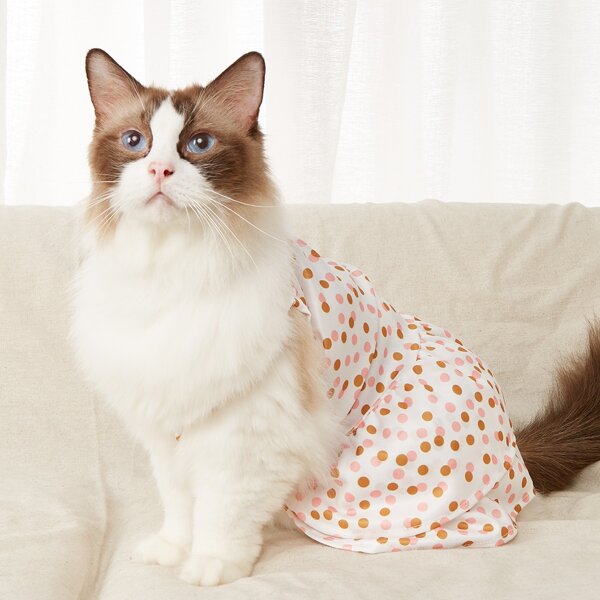 

Polka Dot Pattern Pet Dress, Pink
