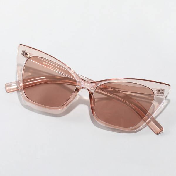 

Tinted Lens Sunglasses