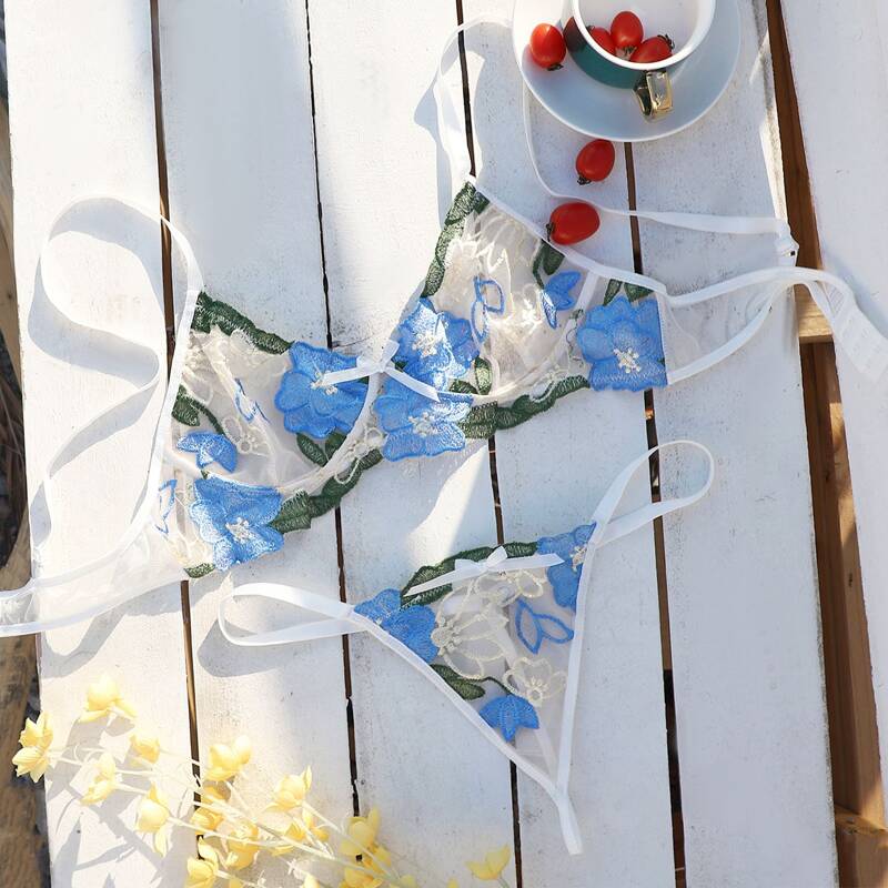 

Embroidery Mesh Lingerie Set, White