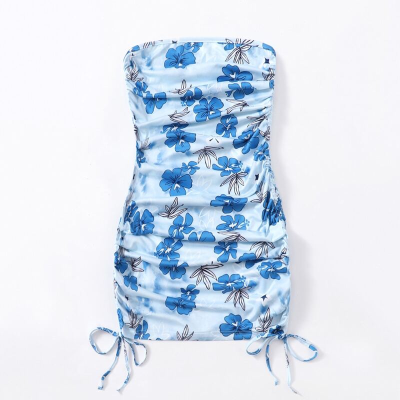 

Floral Print Drawstring Ruched Dress, Blue