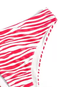 Plus Size 3packs Zebra Stripe Bikini Set With Beach Skirt Summer Beach - Red and White - View 3