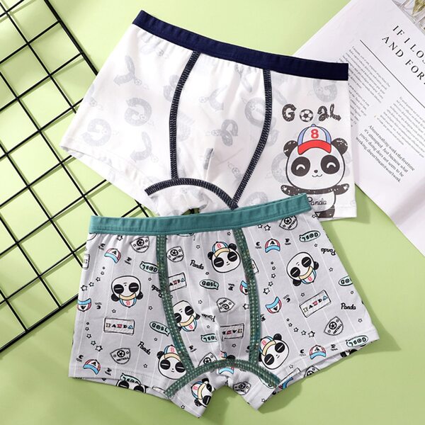 

Boys 2pcs Cartoon Panda Print Underwear, Multicolor