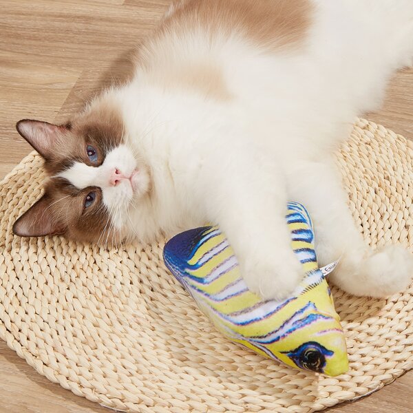 

Fish Shaped Pet Plush Toy, Multicolor