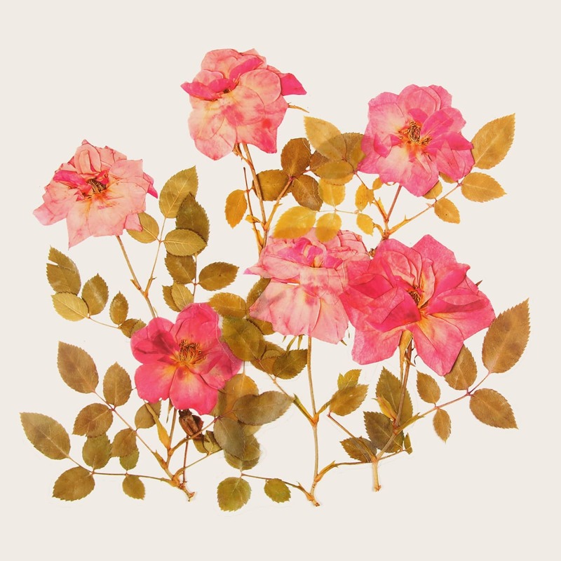 

6pcs Floral Pattern Sticker, Multicolor