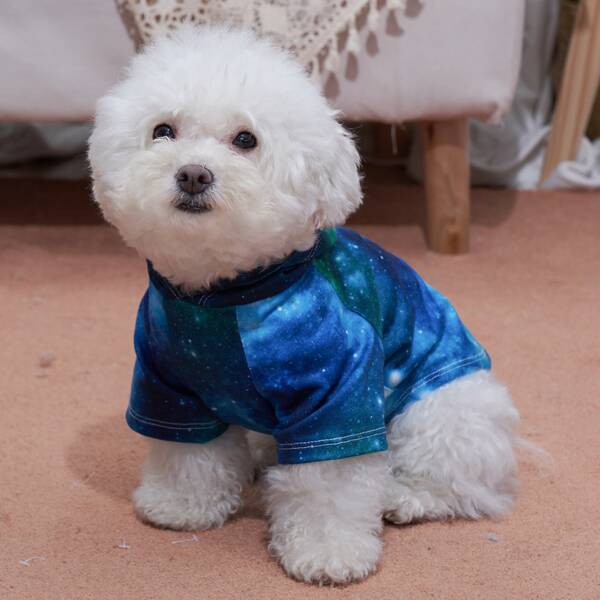 

Galaxy Print Pet Sweatshirt, Blue