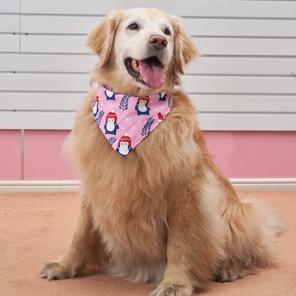 

Cartoon Penguin Print Pet Scarf, Pink