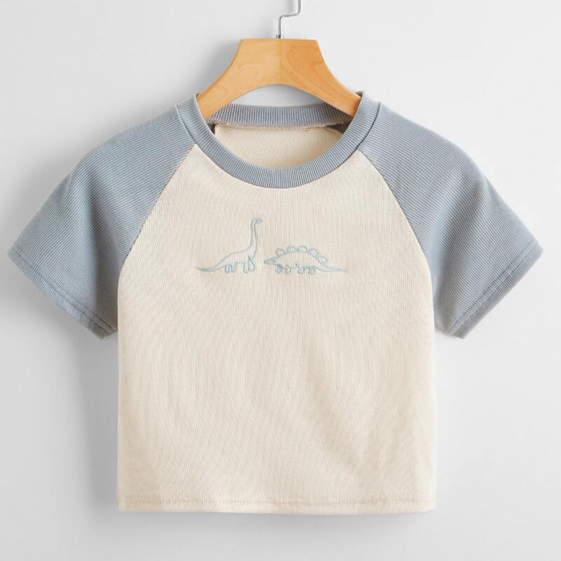 

Cartoon Dinosaur Embroidery Colorblock Ribbed Tee, Multicolor