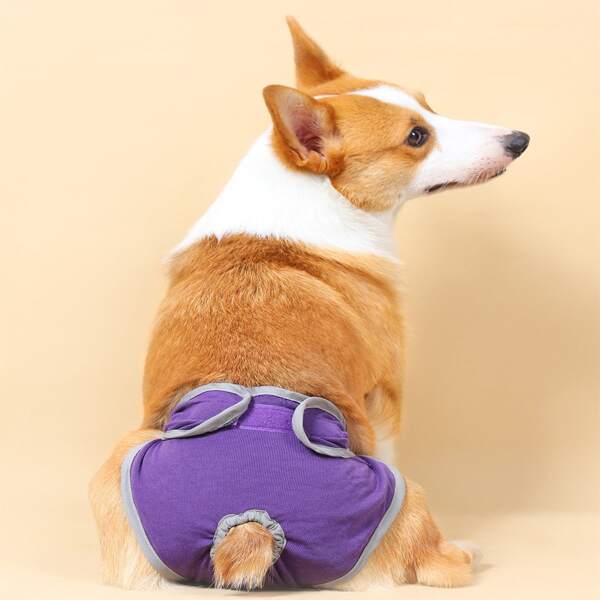 

Solid Color Pet Sanitary Pants, Purple