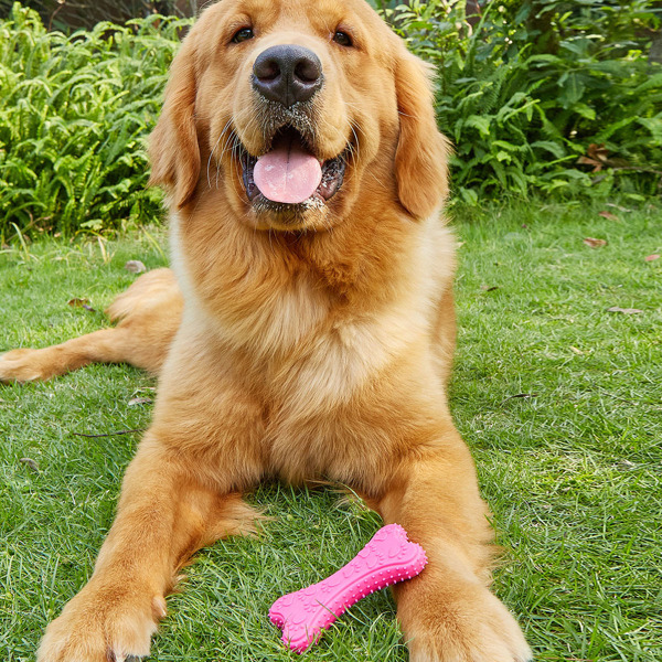 

Bone Design Pet Chew Toy, Red