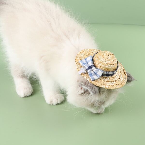 

Bow Decor Pet Straw Hat, Multicolor