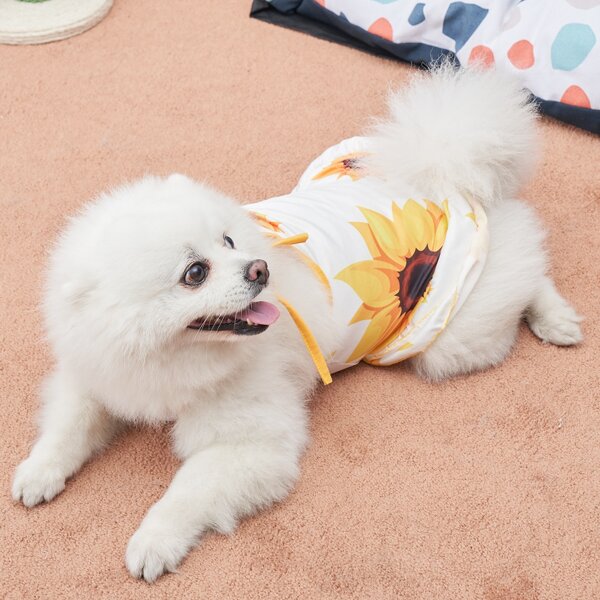 

Sunflower Print Pet Dress, Multicolor