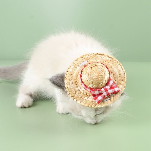 

Bow Decor Pet Straw Hat, Multicolor