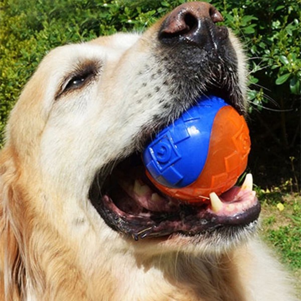 

1pc Pet Sound Toy Ball, Multicolor