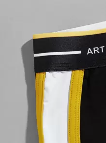 Men 4pcs Chinese Letter Graphic Boxer Brief