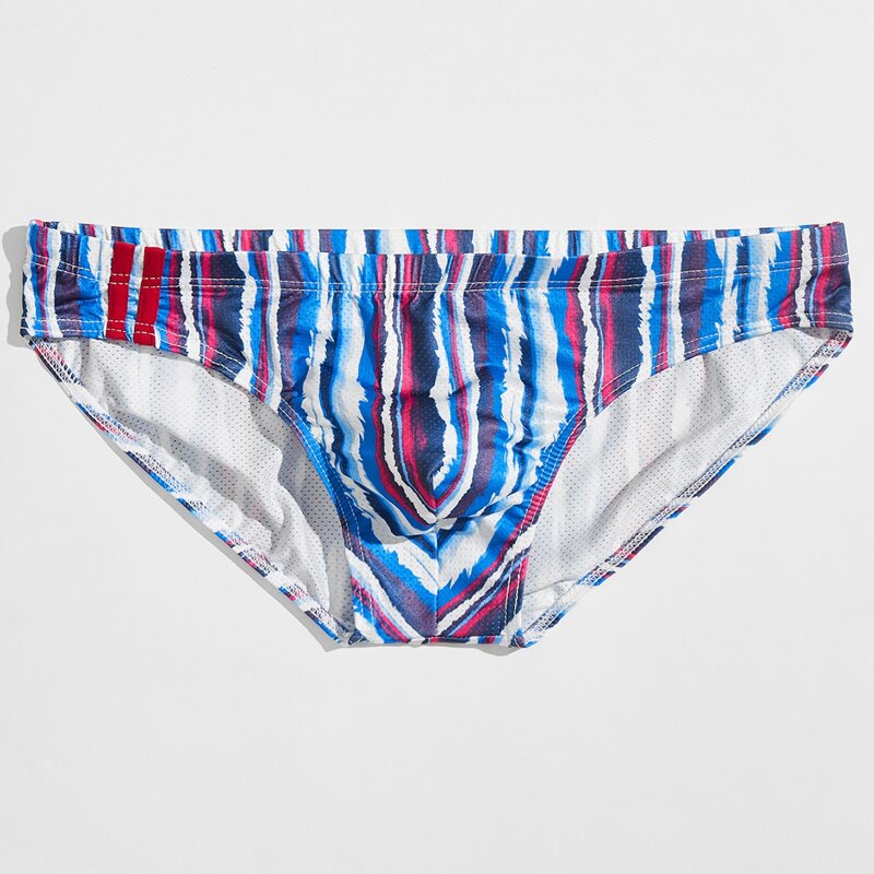 

Guys Irregular Striped Brief, Multicolor