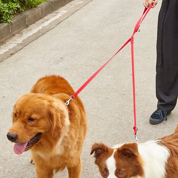 

1pc 2 In 1 Pet Leash, Red