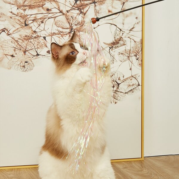 

1pc Tassel Design Cat Teaser Stick, Multicolor