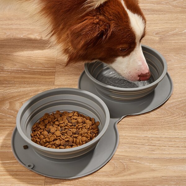 

1pc Collapsible 2 In 1 Pet Bowl, Grey