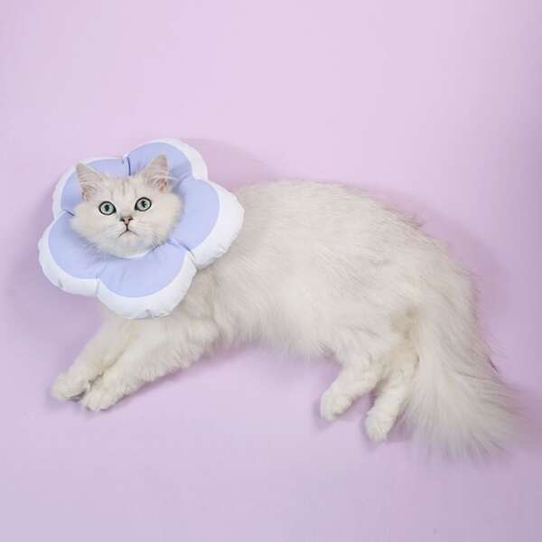

Flower Shaped Pet Recovery Collar, Mauve purple