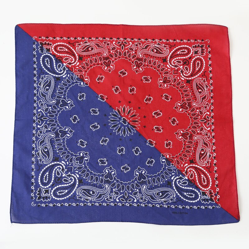 

Colorblock Paisley Bandana, Multicolor
