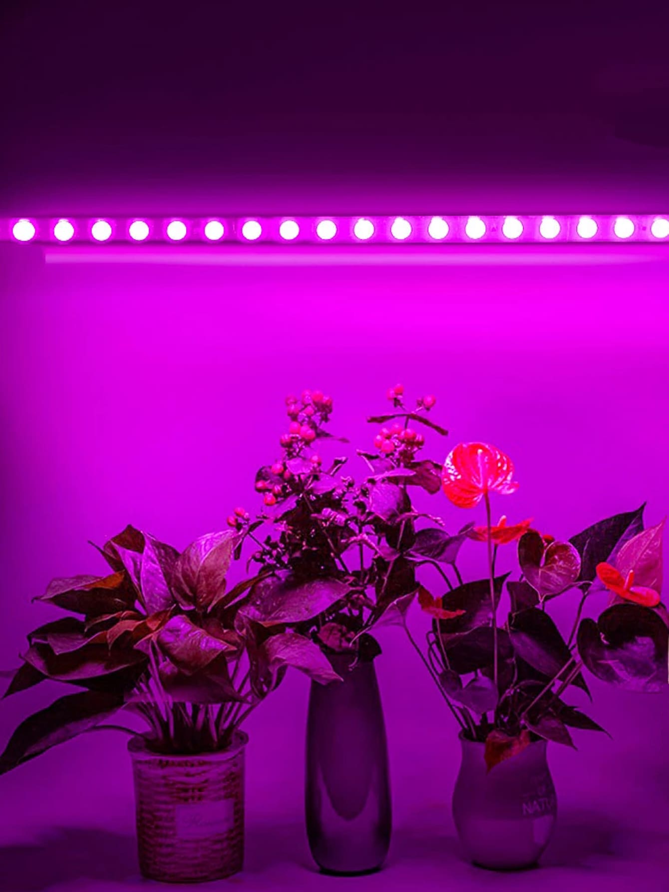 1 Pieza Luz De Crecimiento De Plantas, Tira De Luz Led De 30 Para El Cultivo De Plantas En Invernaderos - Morado - Ver 1